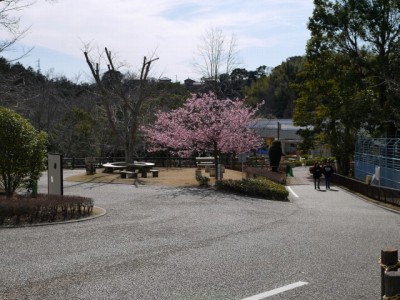 浜松市立動物園の写真6