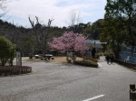 浜松市立動物園の写真のサムネイル写真5