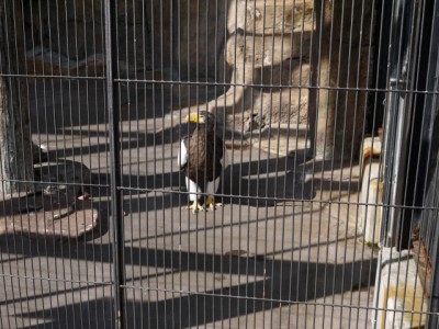 浜松市立動物園の写真11