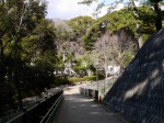 浜松市立動物園の写真のサムネイル写真12