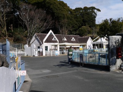 浜松市立動物園の写真14