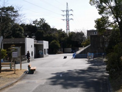 浜松市立動物園の写真21