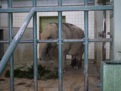 浜松市立動物園の写真22