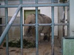 浜松市立動物園の写真のサムネイル写真21