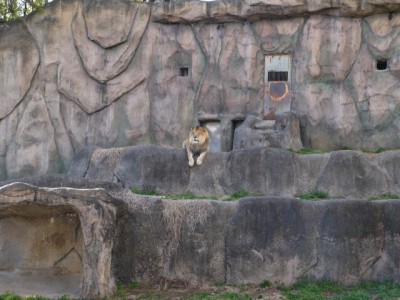浜松市立動物園の写真24