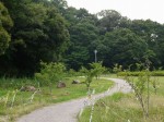 都田総合公園の写真のサムネイル写真6