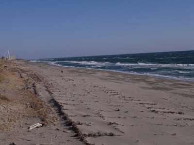 浜岡砂丘の写真