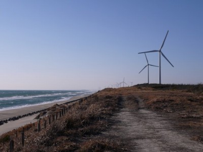 浜岡砂丘の写真3