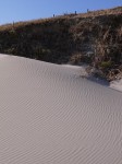 浜岡砂丘の写真のサムネイル写真8