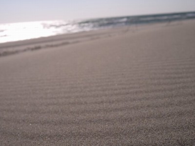 浜岡砂丘の写真11