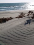 浜岡砂丘の写真のサムネイル写真14