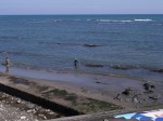 御前崎海岸の写真のサムネイル写真2