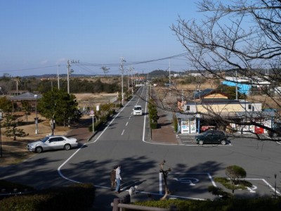 白砂公園の写真3