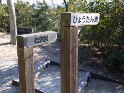 白砂公園の写真10