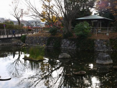 掛川城の写真8