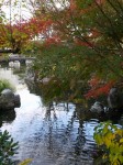 掛川城の写真のサムネイル写真10