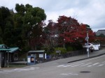 掛川城周辺の写真のサムネイル写真3