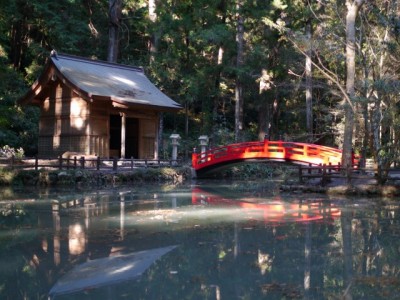 小国神社の写真4