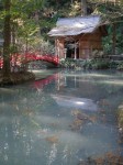 小国神社の写真のサムネイル写真11