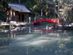 小国神社の写真のサムネイル写真3