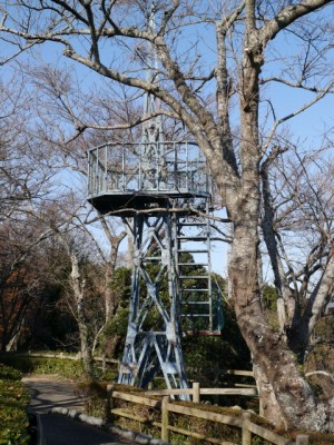 牧之原公園の写真13