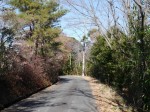 獅子ケ鼻公園の写真のサムネイル写真26