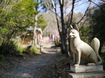 獅子ケ鼻公園の写真4