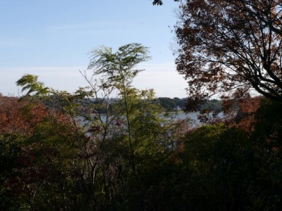 佐鳴湖の写真