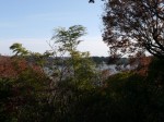 佐鳴湖の写真のサムネイル写真1
