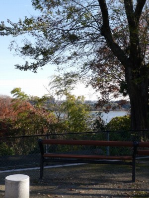 佐鳴湖の写真10