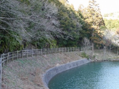 丹野池公園の写真7