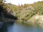 丹野池公園の写真のサムネイル写真8