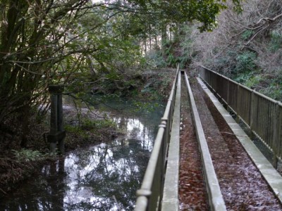 丹野池公園の写真10