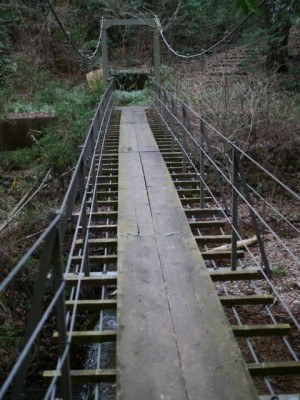 丹野池公園の写真13