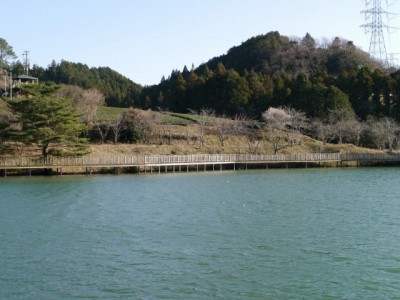 丹野池公園の写真24