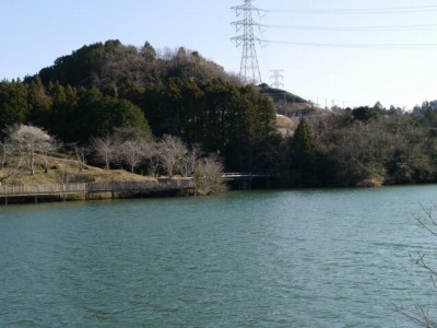 丹野池公園の写真26