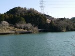 丹野池公園の写真のサムネイル写真26