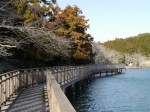 丹野池公園の写真のサムネイル写真28