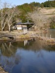 丹野池公園の写真のサムネイル写真31