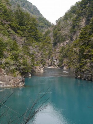 夢の吊り橋（寸又峡）の写真3