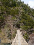 夢の吊り橋（寸又峡）の写真のサムネイル写真17