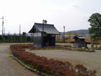 朝顔の松公園の写真3