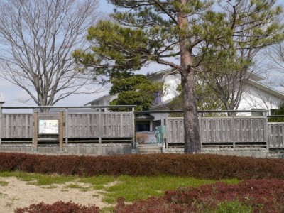 朝顔の松公園の写真6