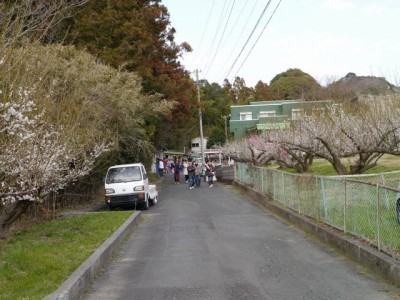 豊岡梅園の写真