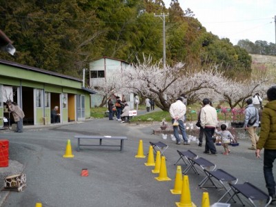 豊岡梅園の写真2