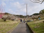 豊岡梅園の写真のサムネイル写真6