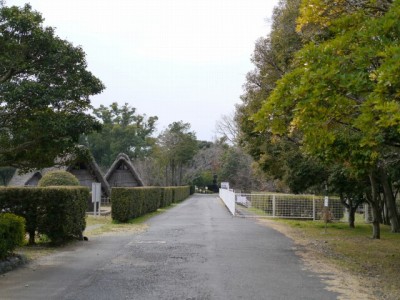蜆塚遺跡公園の写真9
