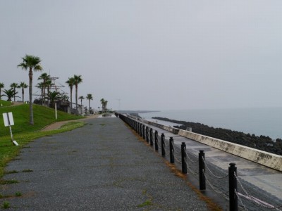 広野海岸公園の写真3