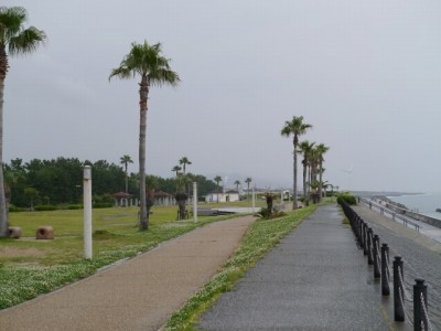 広野海岸公園の写真12