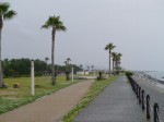 広野海岸公園の写真のサムネイル写真12